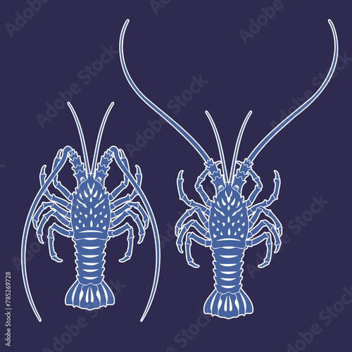 Amazing Japanese style lobster illustration,