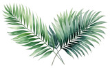 PNG Backgrounds plant leaf tree