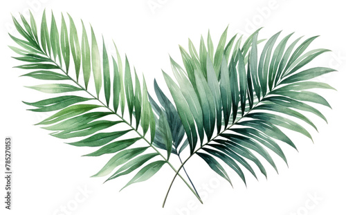 PNG Backgrounds plant leaf tree
