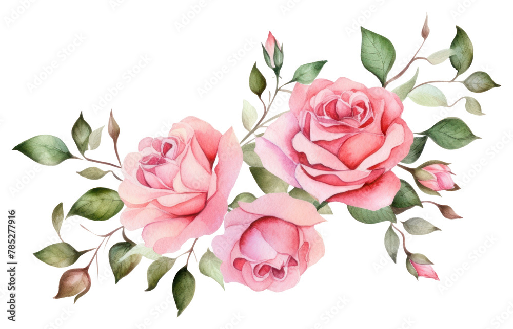 PNG Rose pattern flower plant 