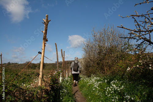 Groupe de randonneurs seniors le long du Jaudy en Bretagne - France photo