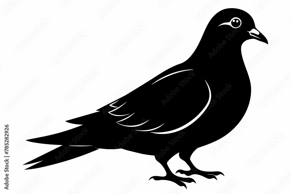 Obraz premium pigeon black silhouette vector 