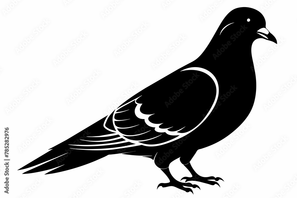 Obraz premium pigeon black silhouette vector 