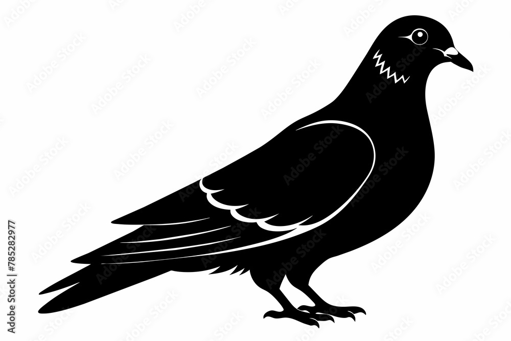 Fototapeta premium pigeon black silhouette vector 