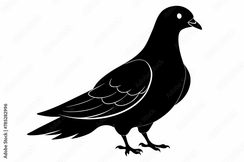 Obraz premium pigeon black silhouette vector