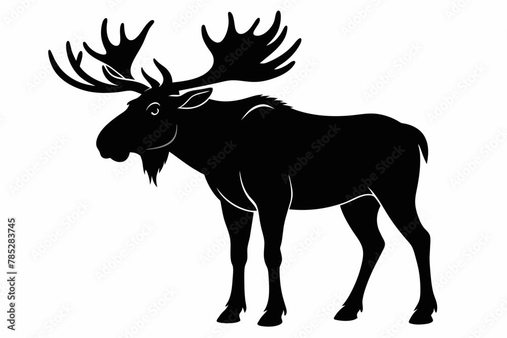 Fototapeta premium moose silhouette on white background
