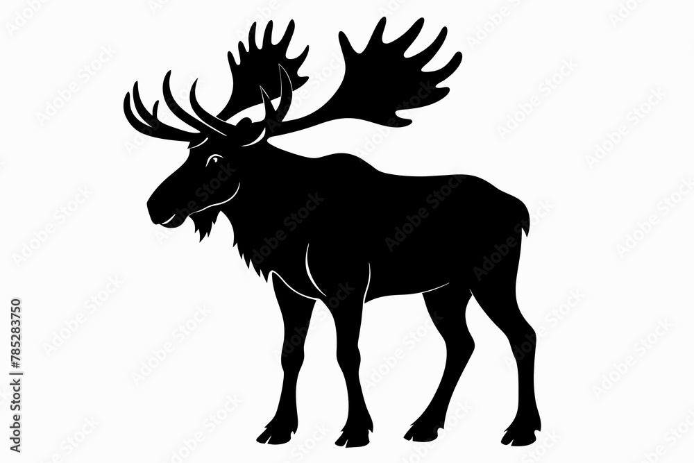 Fototapeta premium moose silhouette on white background