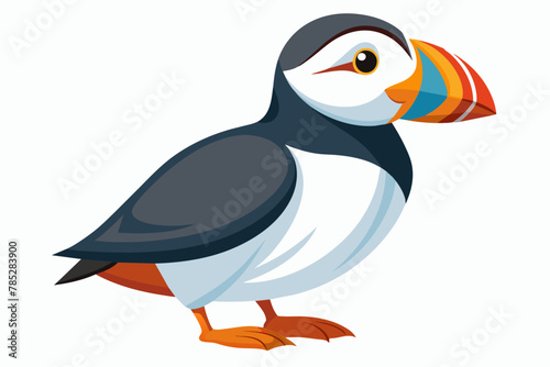 puffin vector illustration on white background