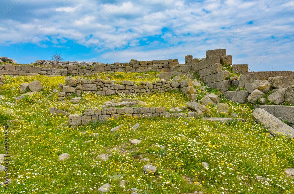 yellow flowers in spring on Pergamon Acropolis ruins (Bergama, Izmir province, Turkiye)