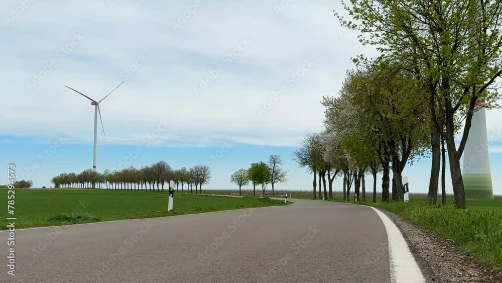 Beautiful rural road surrounded by trees in a rural landscape. Fix, Horizontal 