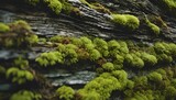 AI generated illustration of moss-covered rocks