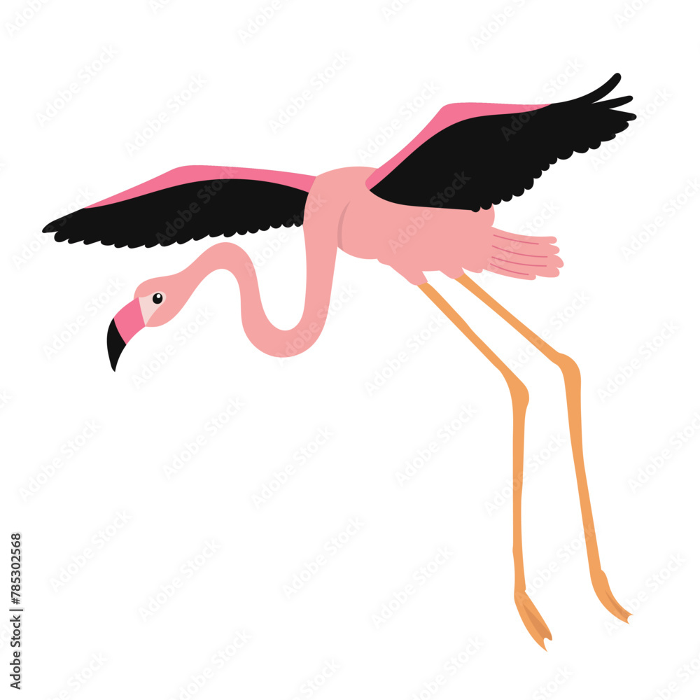 Obraz premium pink flamingo flying on a white background vector