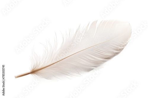 Ethereal Dance of a White Feather. On a White or Clear Surface PNG Transparent Background.