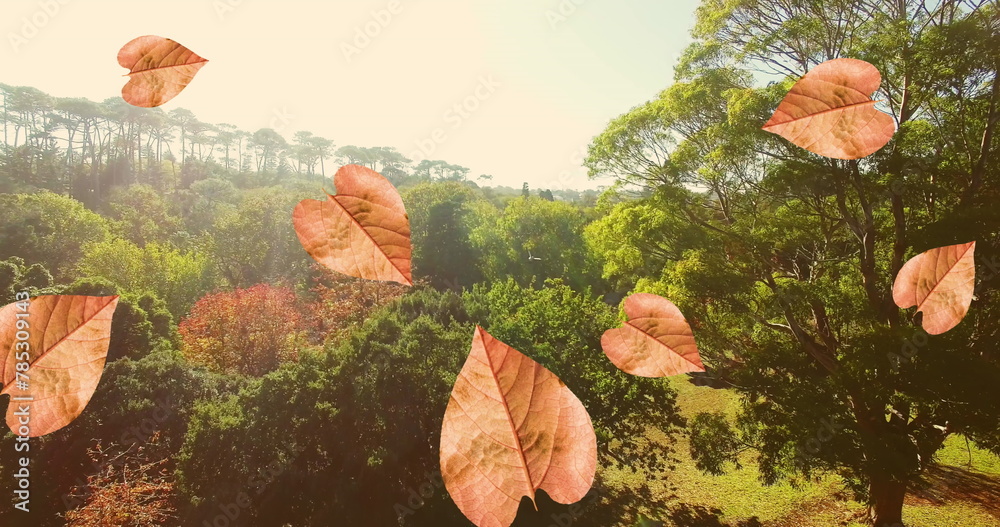 Obraz premium Image of orange autumn leaves falling in park