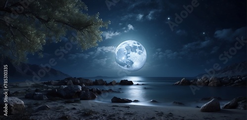 Full moon over the sea at night. Seascape with a full moon. capture loneliness 