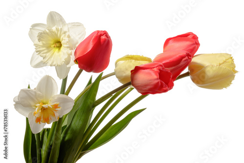 Bouquet of tulip and narcissus flowers isolated on white background