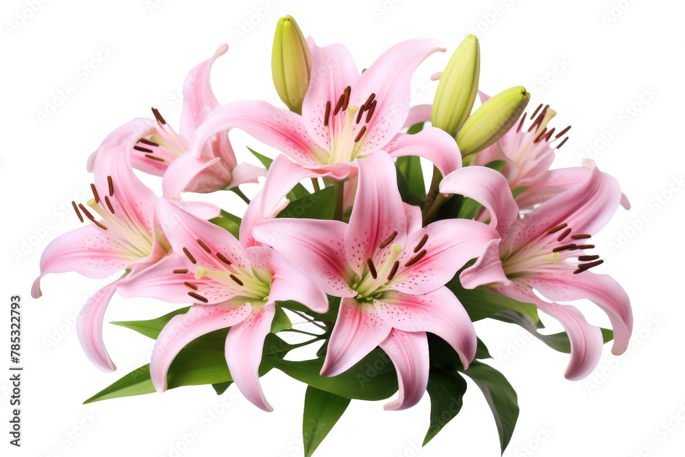 Ephemeral Blooms: Pink Floral Beauty. On a White or Clear Surface PNG Transparent Background.