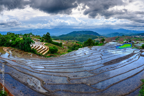 landscape terraced rice fields in cloudy day at sunset, Pa Pong Pieng, Mae chaem, Chiang mai