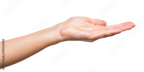 young female flat hand holding something, isolated on white or transparent png © David Kreuzberg
