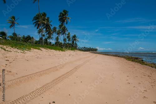 tire mark on the beach