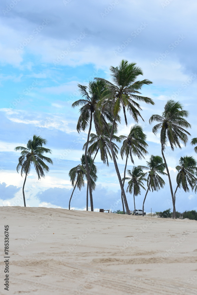 Os coqueiros presente nas lindas paisagens no Nordeste do Brasil tornam encantadoras as belas praias Os coqueiros presente nas lindas paisagens no Nordeste do Brasil tornam encantadoras as belas praias