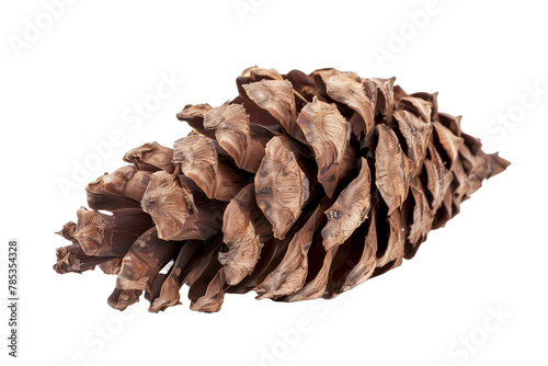 Dry Pine Cone - Isolated on White Transparent Background, PNG 