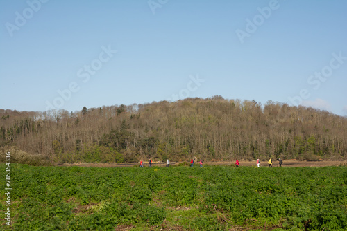 Groupe de randonneurs seniors le long du Jaudy en Bretagne - France photo