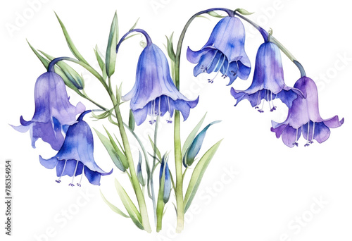 PNG Flower plant petal iris photo
