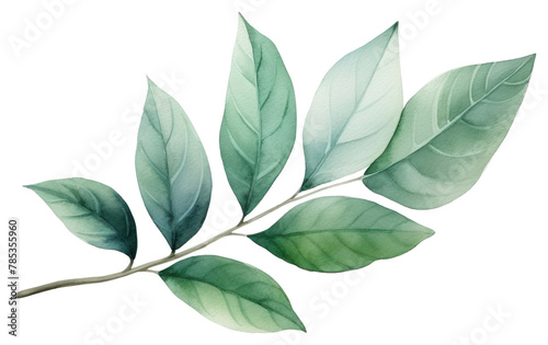 PNG Plant herbs leaf tree. AI generated Image by rawp