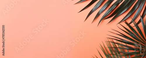 Palm leaf on a coral background with copy space for text or design. A flat lay, top view. A summer vacation concept