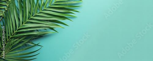 Palm leaf on a mint green background with copy space for text or design. A flat lay  top view. A summer vacation concept