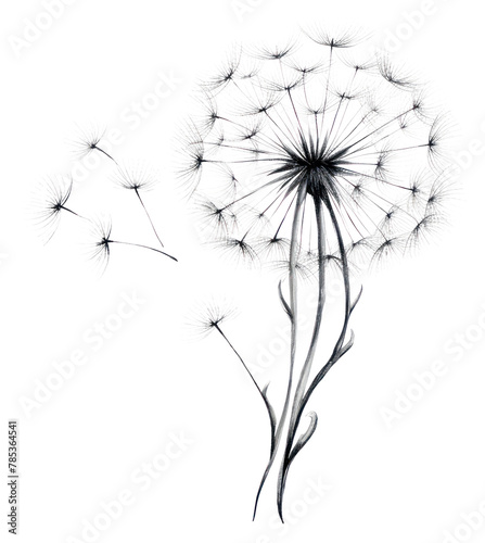 PNG Dandelion flower drawing plant. AI generated Image by rawpixel.