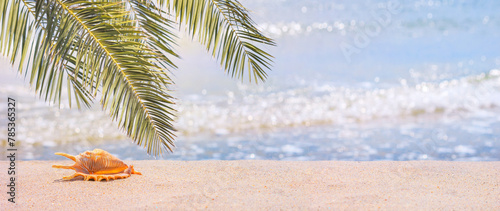 Close-up view of a beach with seashell under the hot tropical sun, selective focus, banner. Beach holiday concept, background with copy space for text