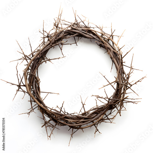 Crown of thorns on a white background