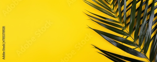 Palm leaf on a yellow background with copy space for text or design. A flat lay, top view. A summer vacation concept