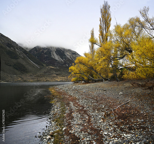 Shoreline of Lake Pearson, Canterbury in Autumn, New Zealand