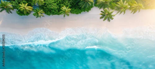 Tranquil aerial view of maldives island beach with palm trees on white sandy shore