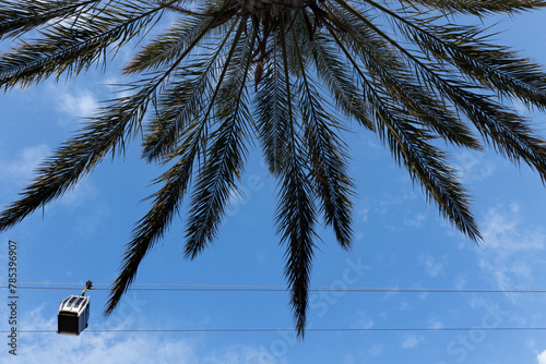 funicular cabin in a blue sky against the background of palm tree branches. selective focus . High quality photo