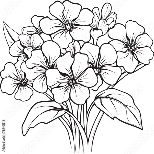 Petal Portraits Artistry in Capturing Phlox Beauty