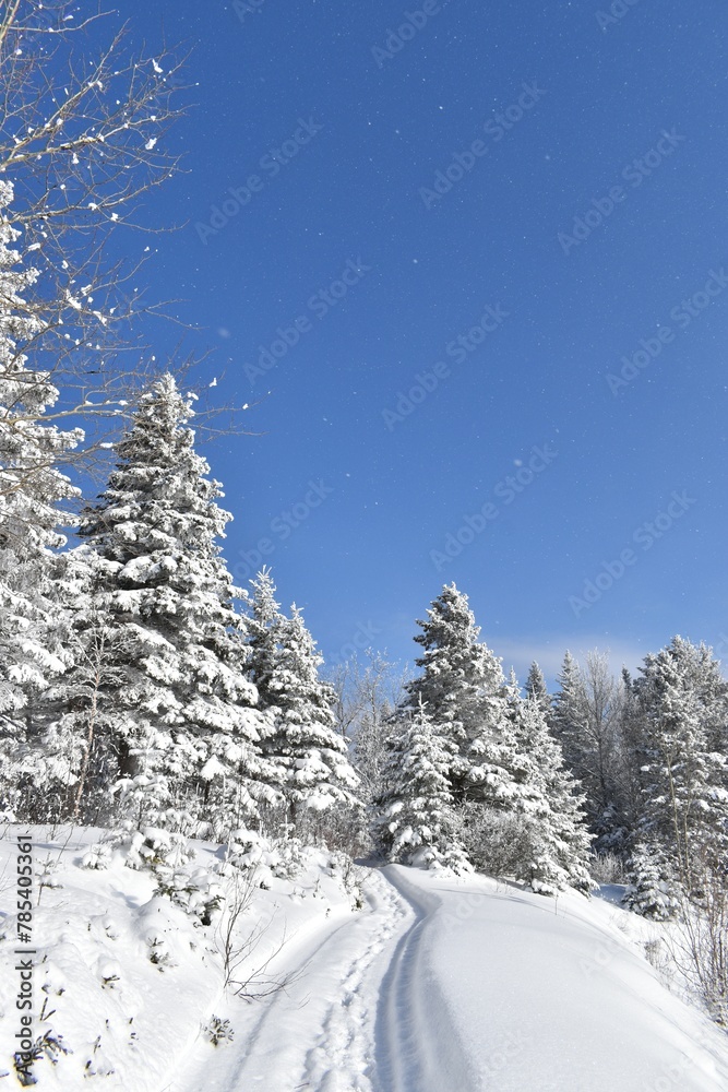 Fototapeta premium A trail in winter, Sainte-Apolline, Québec, Canada