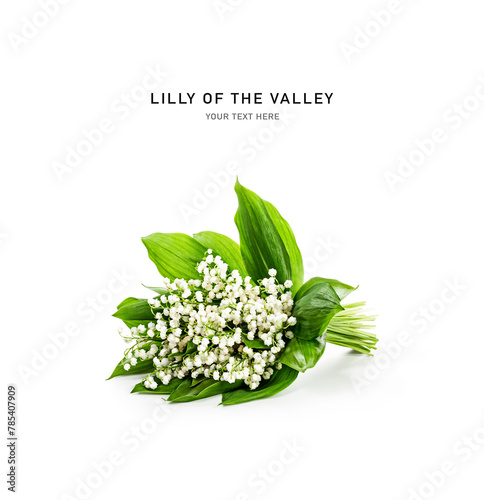 Lilly of the valley flowers isolated on white background.