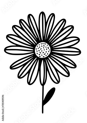 Daisy SVG | Daisies svg | Daisy clipart | Daisy png | Flower SVG | Wild flower svg | Wild flowers SVG | SVG PNG JPG