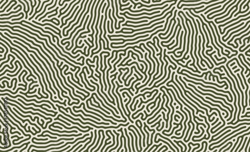 Monochrome green turing lines organic shape patterns background design photo