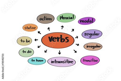 Hand drawn picture of mind mapping type of verbs in colorful circles bubbles. Illustration for education. Concept, English grammar teaching. Different types of verbs lesson. Teaching aid.  photo