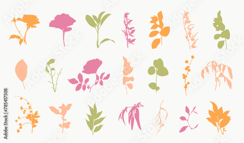 Botanical Floral Silhouettes Set Hand Drawn Plants © Artrise Stocker