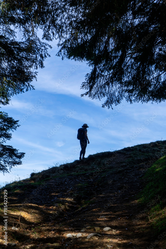 Silhouette of female hiker with shield cap and backpack under a fir tree towards blue sky 