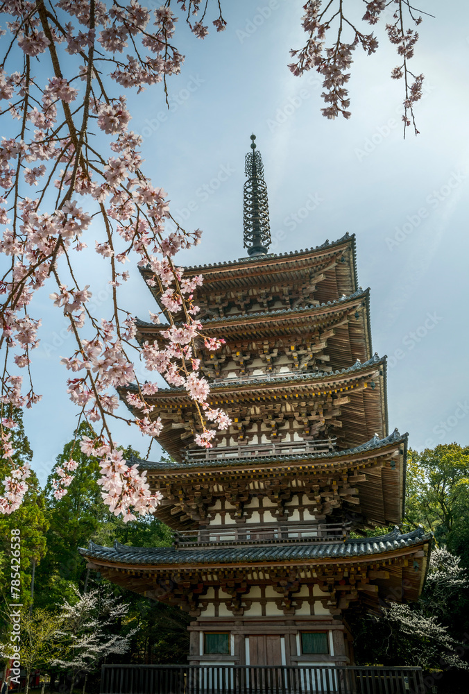 Pagoda in spring with Blossom
