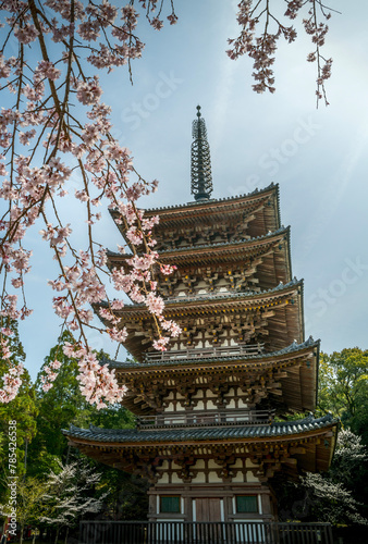 Obraz na płótnie Pagoda in spring with Blossom w salonie
