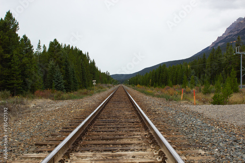 Train tracks crossing the rocky mountains of Canada © Hector
