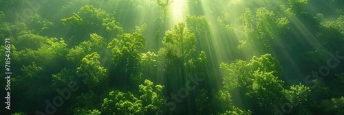 Sun Green. Stunning Forest Landscape with Sunlight Rays Among Green Trees